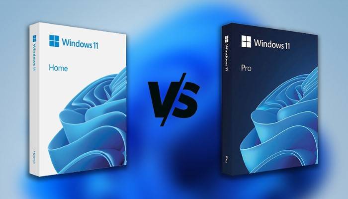 windows 11 home vs pro 1