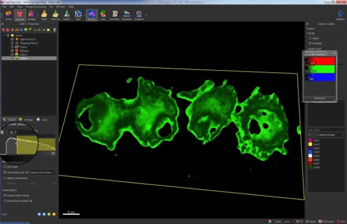 Benefits of Using Imaris