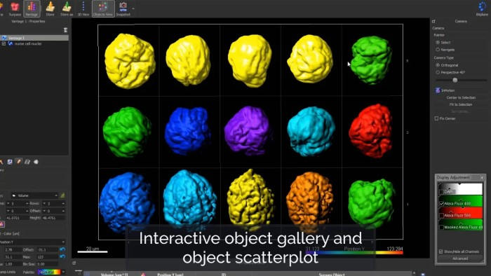 What Is Imaris Software