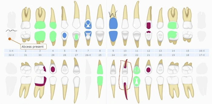 Who Uses Curve Dental Software
