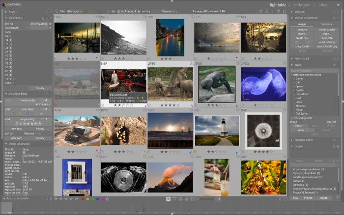 Darktable Best for RAW Photo Editing