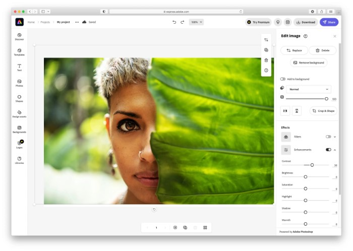 How to Choose the Best Free Photo Editing Software for Mac