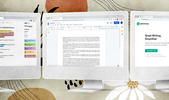 Why Authors Use Special Writing Software 1