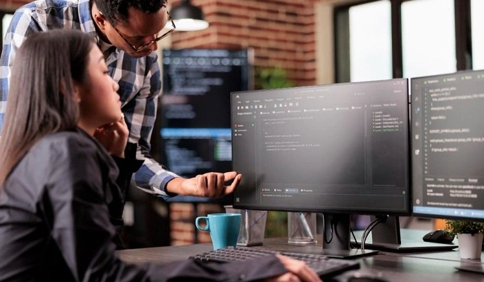 visa software engineer 3